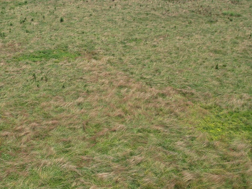 2nd image of Fowlers Grove Rd
