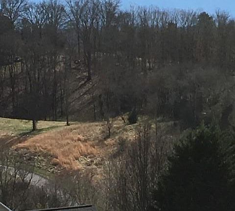 2nd image of Summerhill Dr