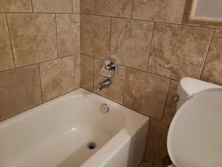 Master Bath Tub