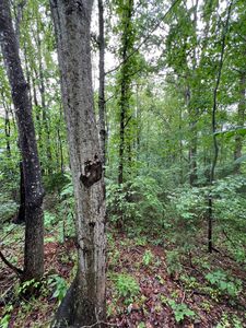 0 Crestview Dr, Rustburg, VA, 24588