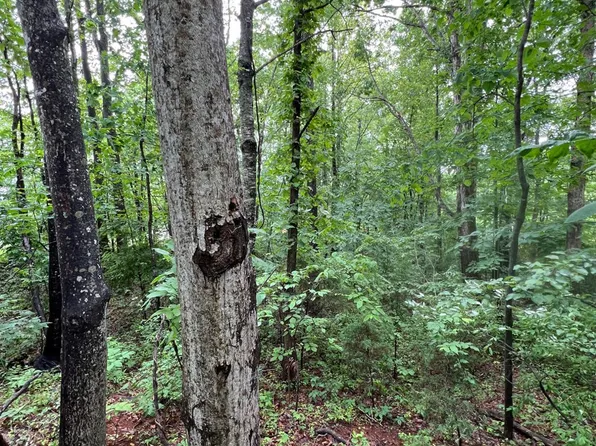 0 Crestview Dr Lot 7, Rustburg, VA 24588