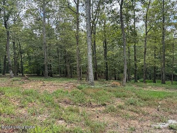 3rd image of 0 Falls Ln