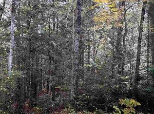 38 Winding Wood Rd, Springfield, NH 03284