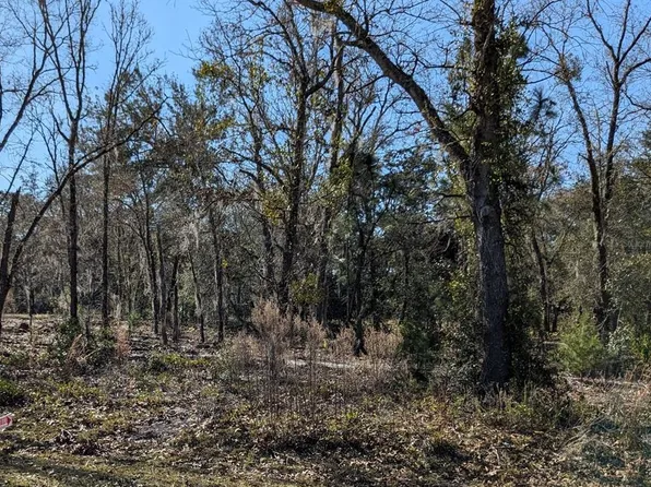 0 Guava Terrace Radl #7, Ocklawaha, FL 32179