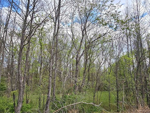 4th image of 0 N Watkins Rd