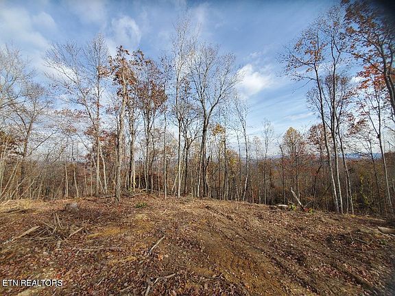 4th image of Bull Creek Rd