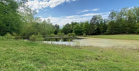Pond view