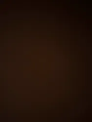 Rented by Minotaur Management