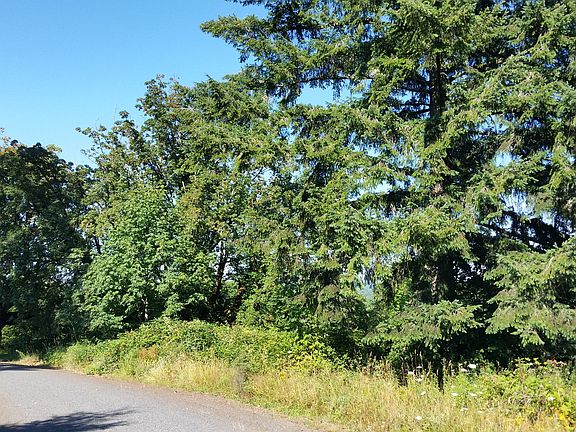 5th image of 2 5 Acre Mt. Rainier View Properties