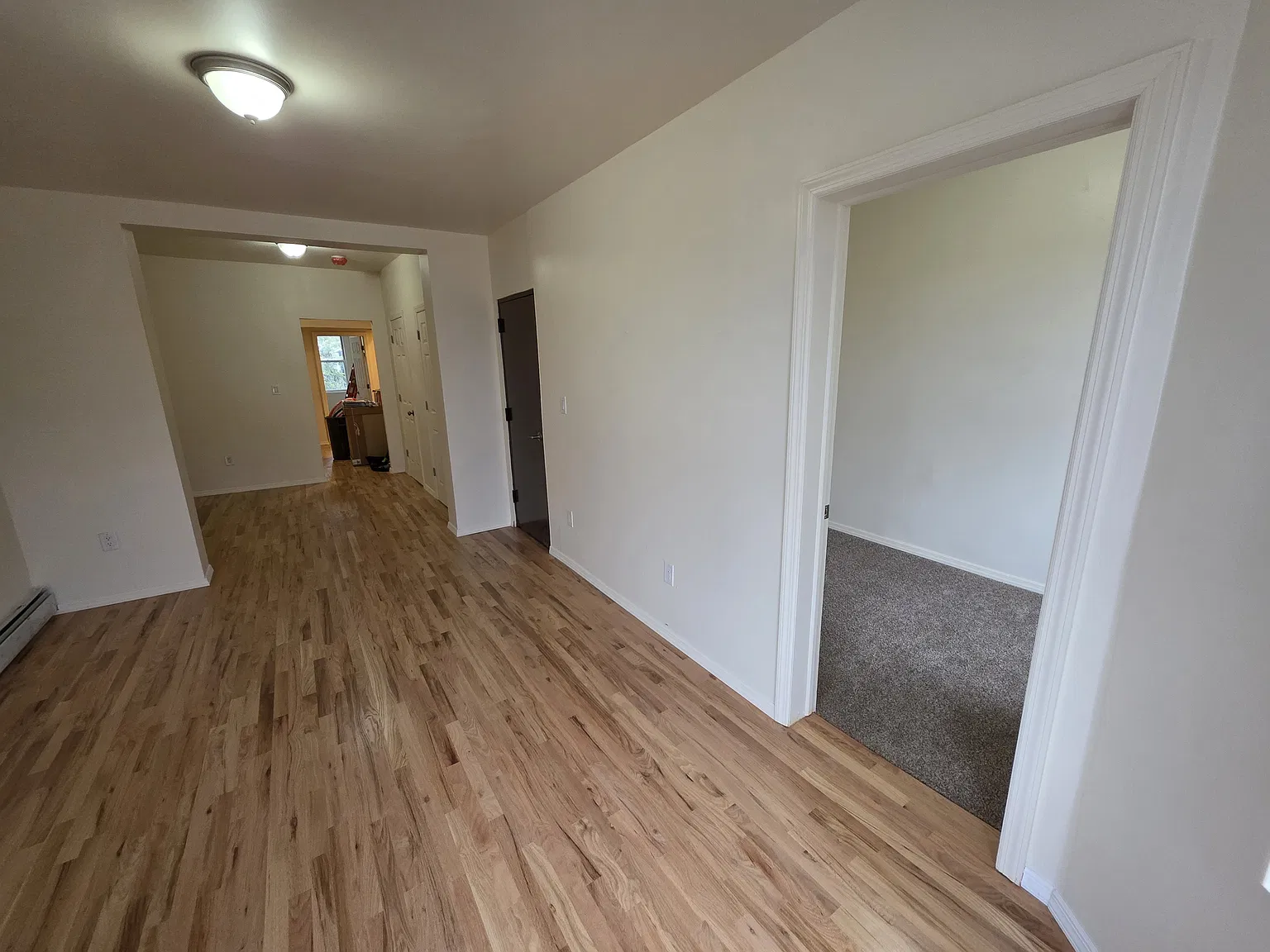 3 bed, 900 sqft, $3,495 — Photo 4