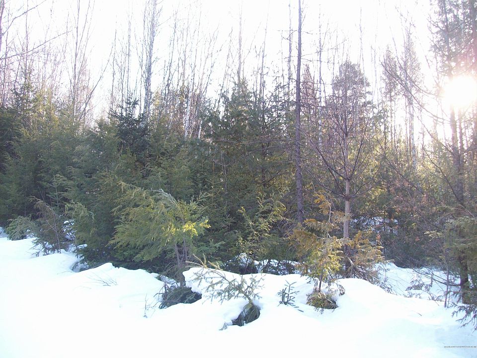 2nd image of Spaulding Stream Est