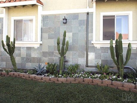 Casa Verde Apartments - Front Yard.