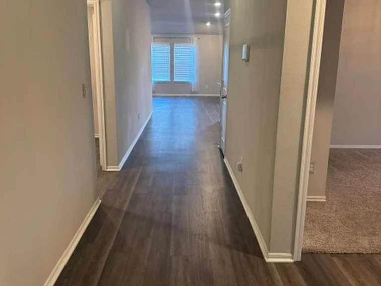 3213 Rushmore St — Photo 4