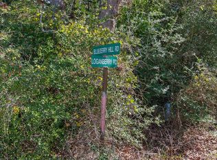 370 Blueberry Hill Rd, Somerville, TX 77879