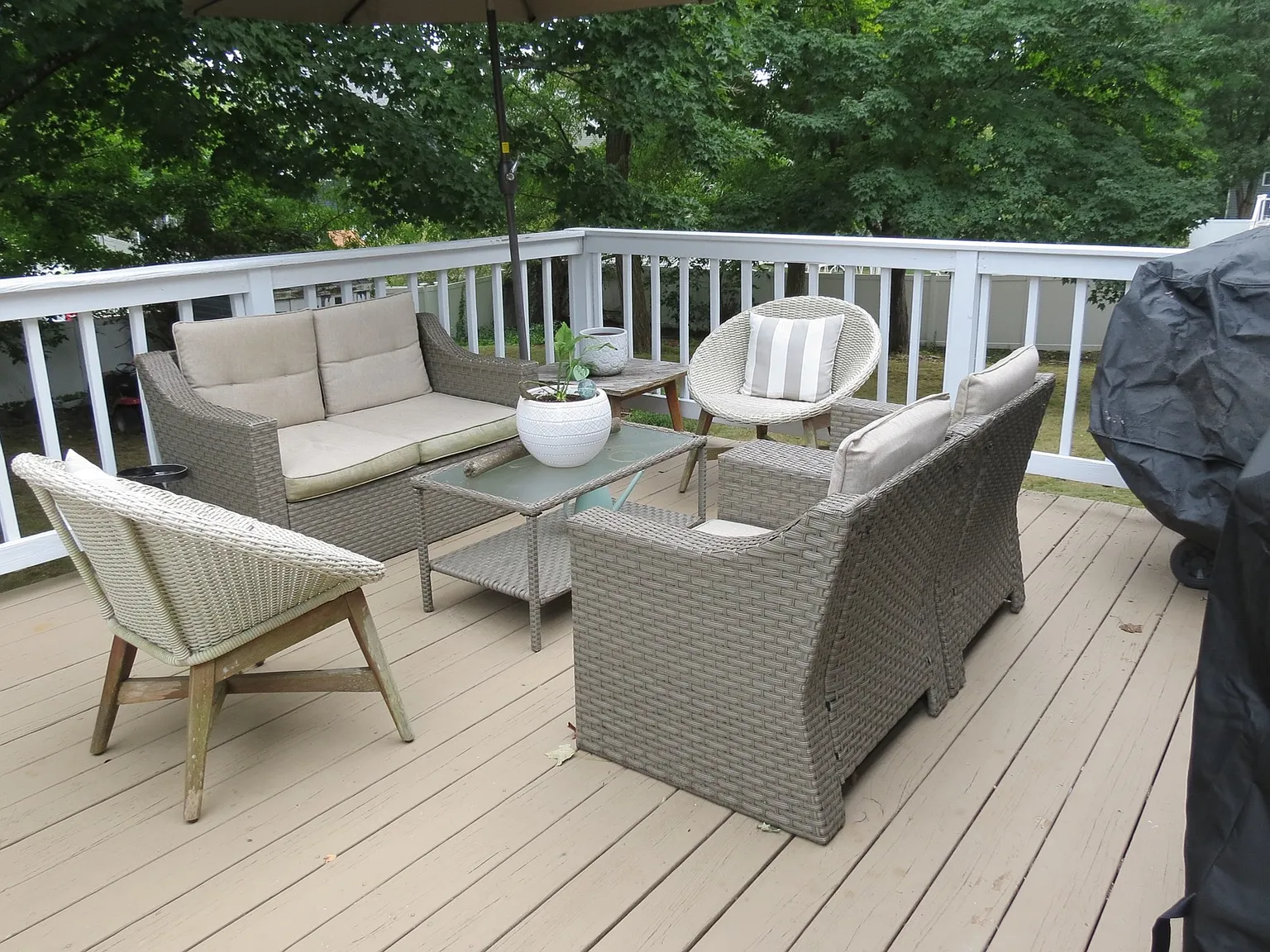 3 bed, 1.0 bath, 960 sqft, $3,000 — Photo 3