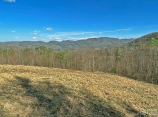 1126 Bluff Mountain Rd, Hot Springs, NC 28743
