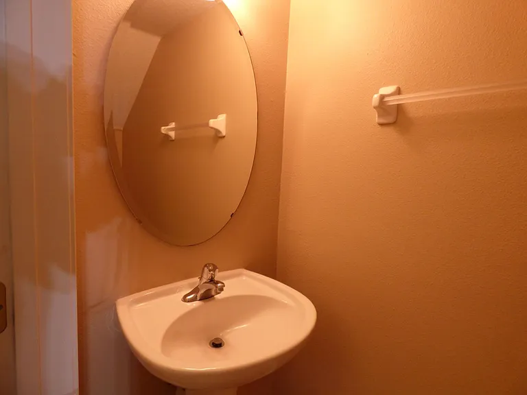 3568 Twisted Tree Ln — Photo 11
