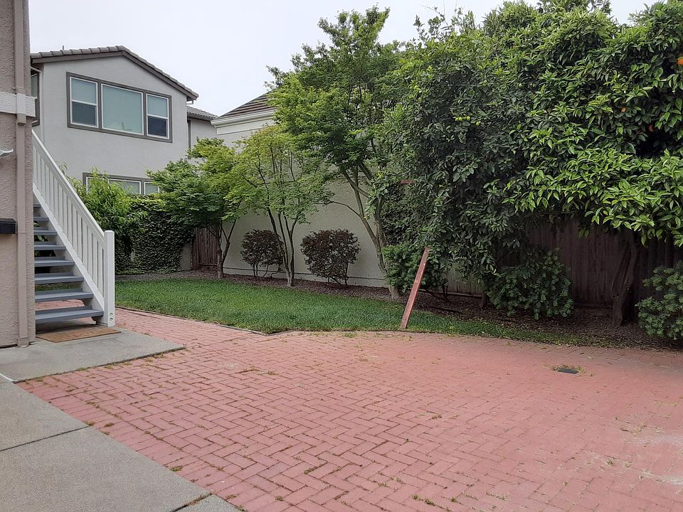 Backyard including Orange, Limon, Peach, and Loquat trees.