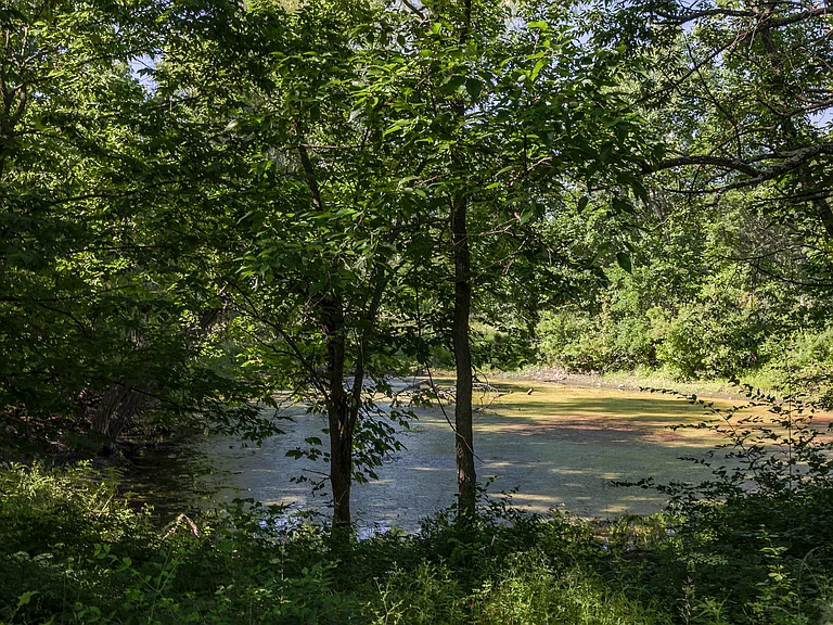 10355 Kill Creek Rd — Photo 16