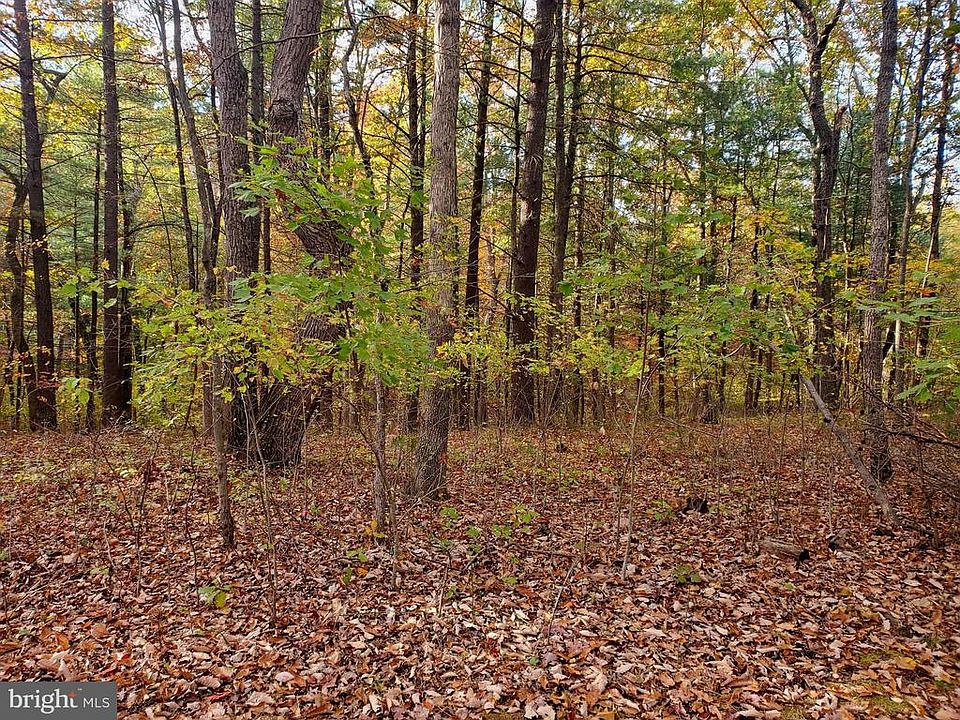 Beautiful Wooded Lot