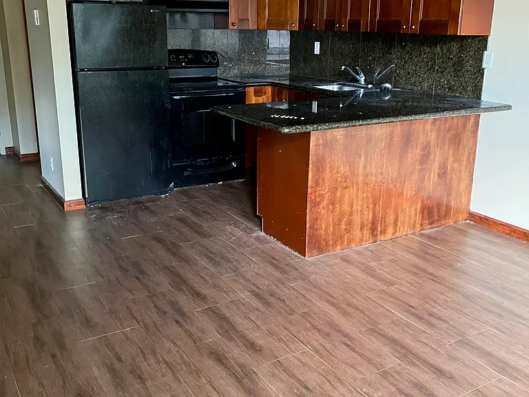 217-19 Lark St #3 — Photo 3