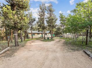 466 Gunsmoke Dr, Bailey, CO 80421