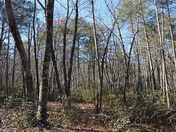 5th image of 1010-1372 Hanging Rock Park Rd