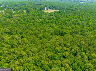 1 Ellistown Rd, Jackson, GA 30233