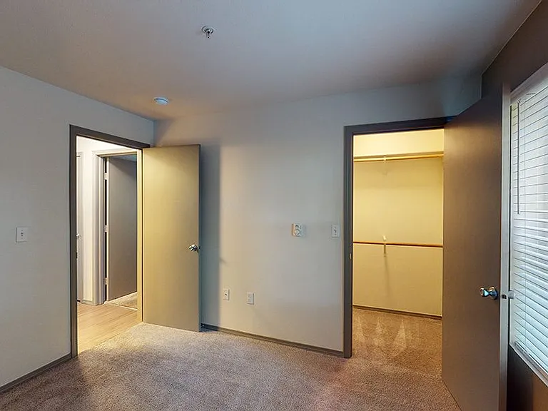 Spacious apartment bedroom with large closet and plush carpet flooring.