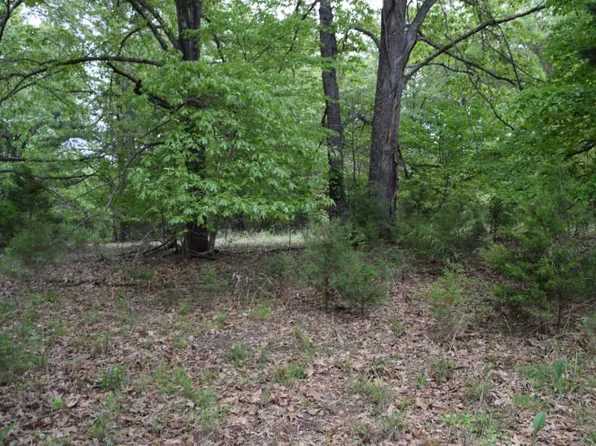 Ridgewood Dr, Lakeview, AR 72642