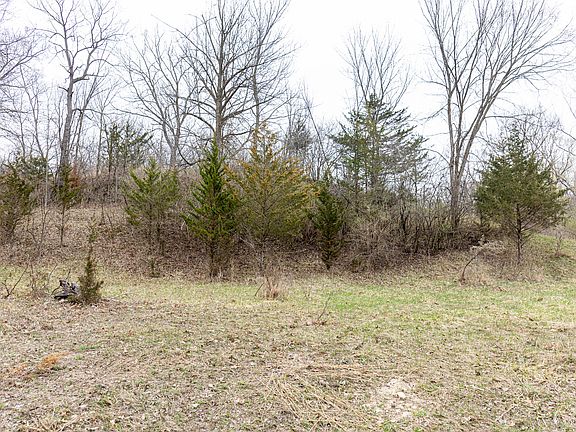 3rd image of 19 & Lot 18