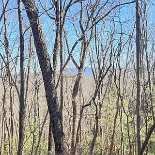 3rd image of Na Pettit Ridge Rd