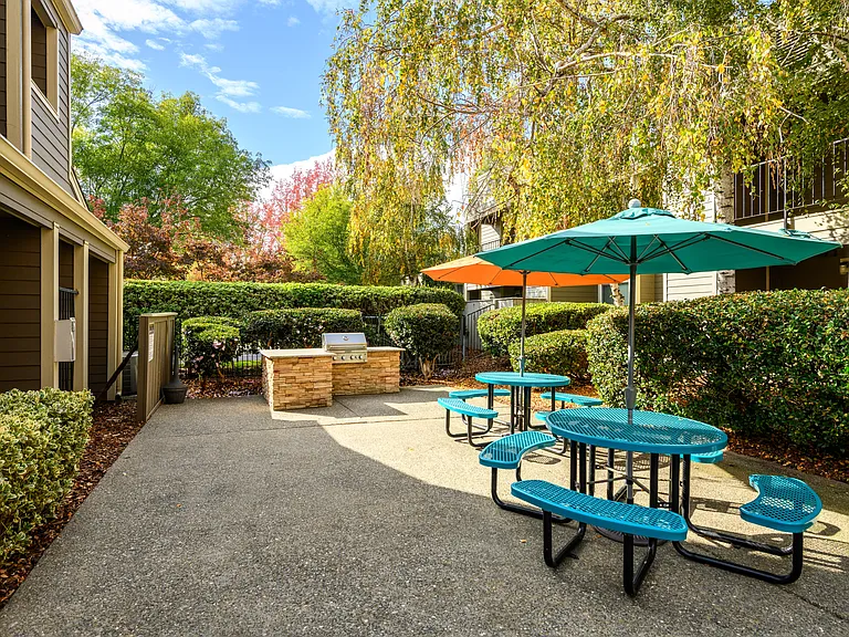BBQ picnic area with tables and umbrellas