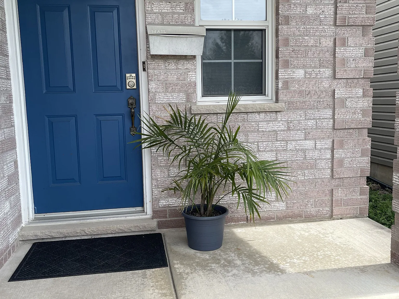 1 bed, $600 — Photo 3