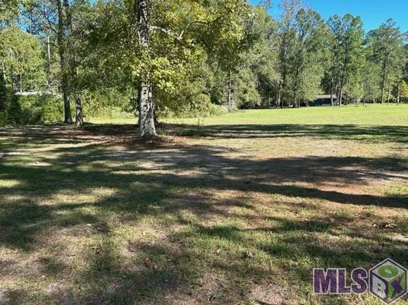 TRACT B One La Hwy Lot 22, Maurepas, LA 70449