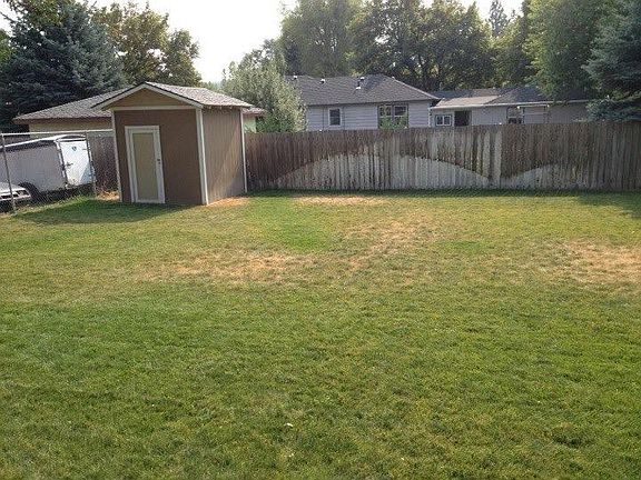 Back yard