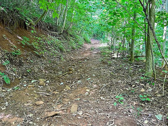 2nd image of 75 W Fork Creek Rd