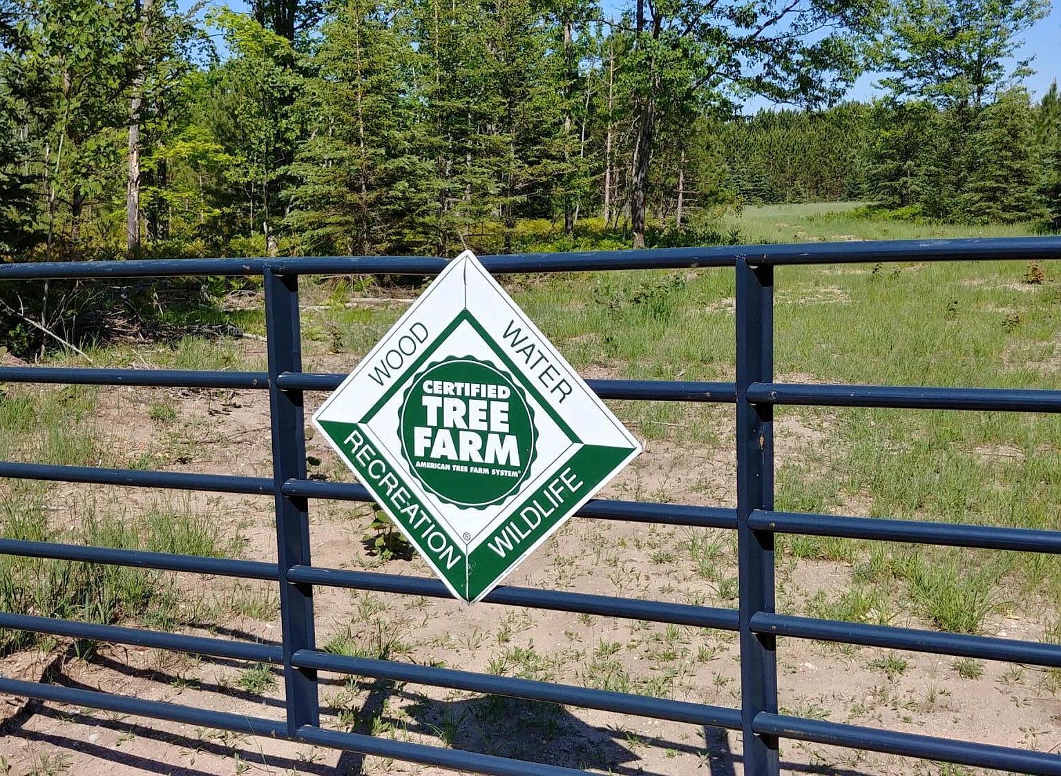 Emerald Lake Trl, Gaylord, MI 49735 Zillow