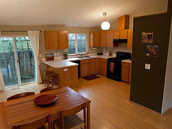 Open Kitchen/Living