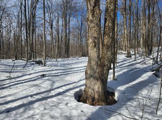 Valleyridge Cir, Alba, MI