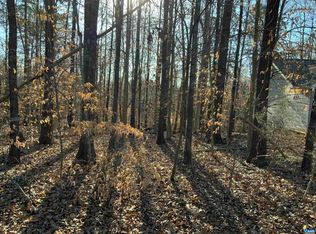 40 Riverside Dr, Palmyra, VA 22963