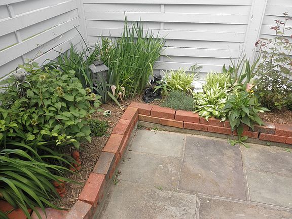 Patio garden