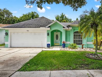 7513 Savannah Ln, Tampa, FL, 33637