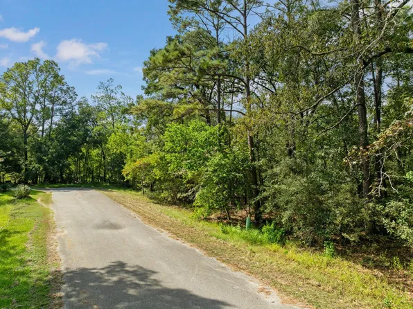 15687 N Park Ln, Porter, TX 77365