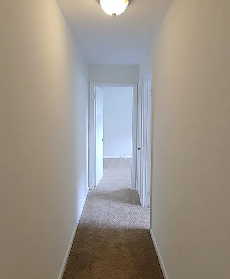 929B Fortwood St — Photo 8