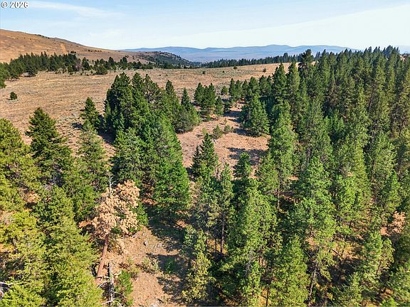 2nd image of 0 Washington Gulch Rd #3300