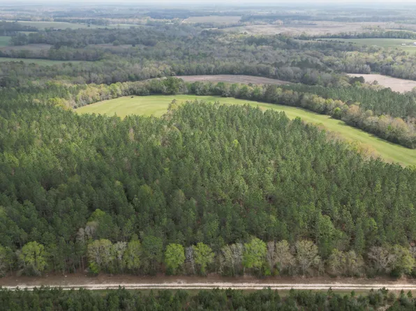 0 Anderson Rd, Bonifay, FL 32425