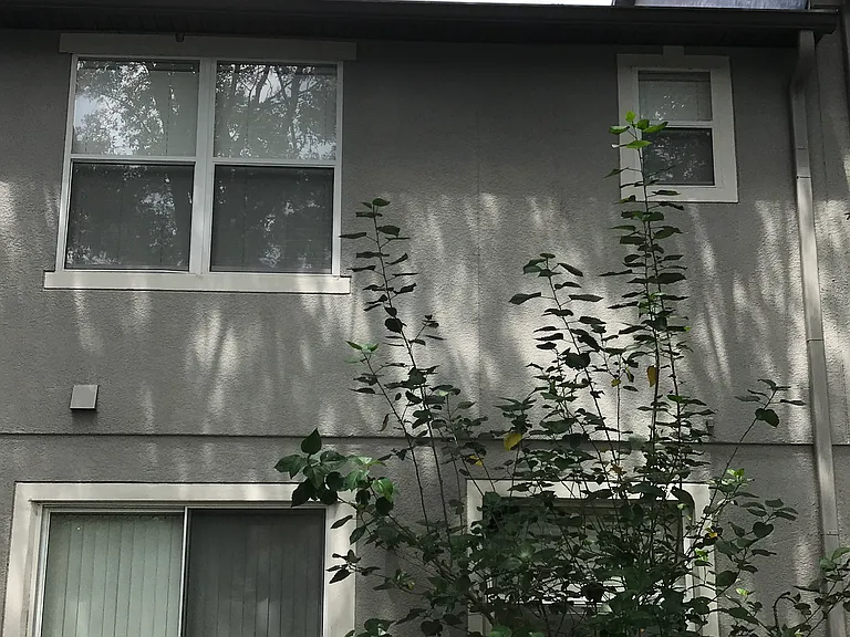 173 Constitution Way — Photo 3