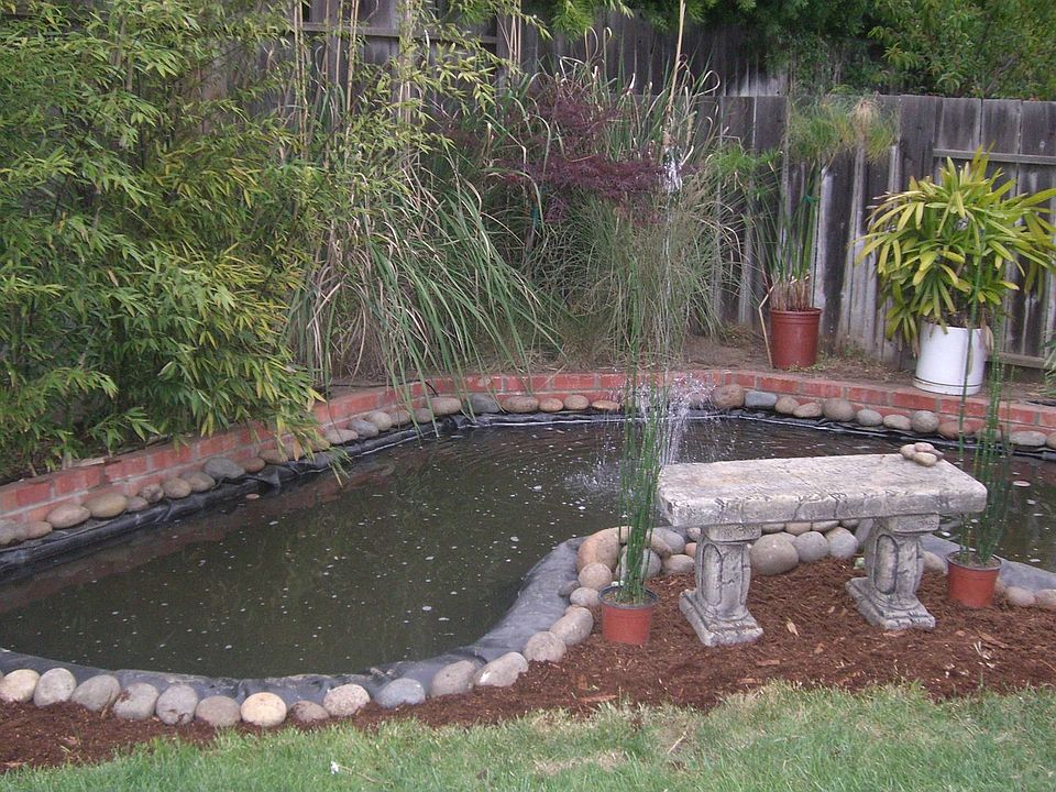 New koi pond/water feature