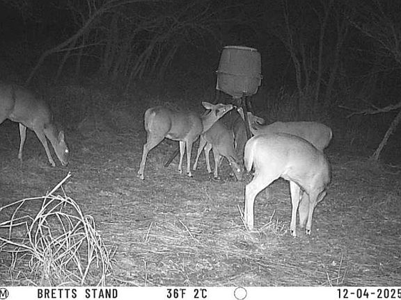 2nd image of 27214 E County Road 1430 Rd